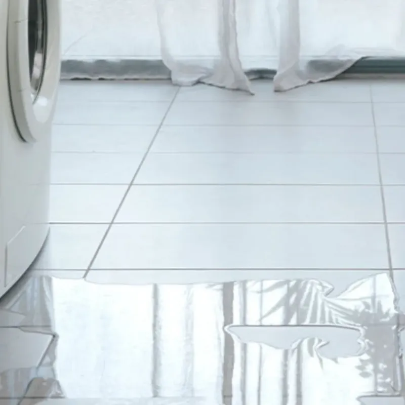 Appliance Leak Cleanup in Kingsport, TN