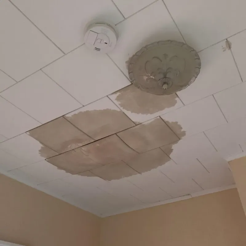 Ceiling Water Damage Repair in Kingsport, TN